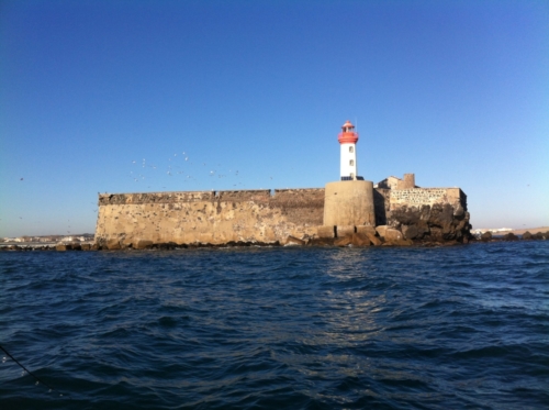 Fort Brescou - Fabien Fernandez Fishing