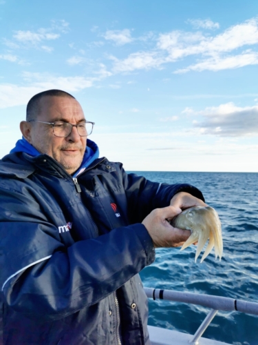 Pêche de la Seiche - Fabien Fernandez Fishing