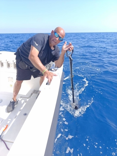 Pêche du Thon- Fabien Fernandez Fishing