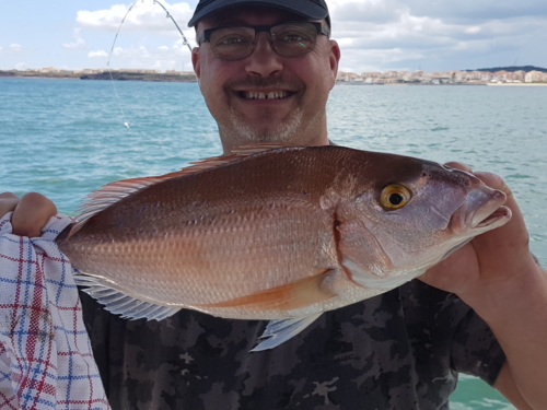 Pêche du Pageot - Fabien Fernandez Fishing