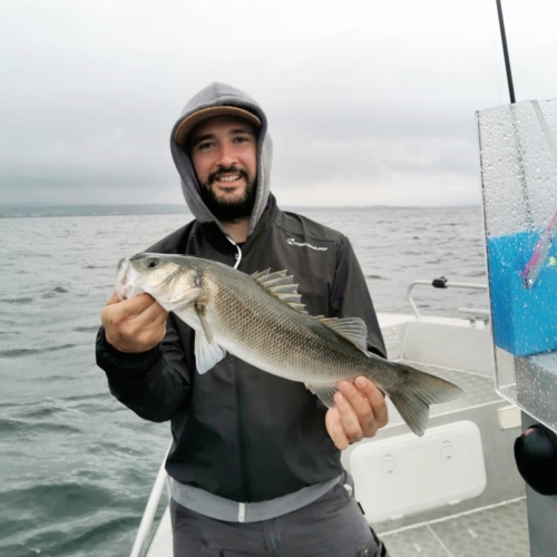 Pêche du Loup - Fabien Fernandez Fishing