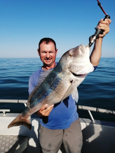 Pêche du Denti - Fabien Fernandez Fishing
