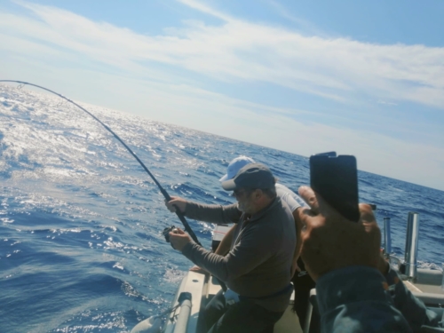 Pêche du Thon- Fabien Fernandez Fishing