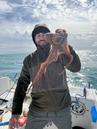Pêche du Poulpe - Fabien Fernandez Fishing