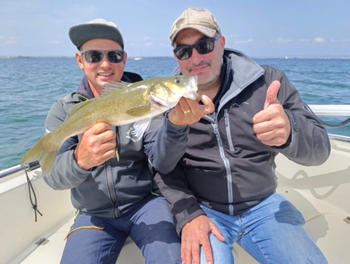 Pêche du Loup - Fabien Fernandez Fishing