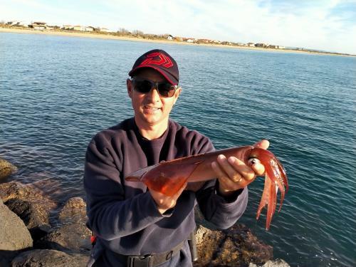 Pêche du Calamar - Fabien Fernandez Fishing