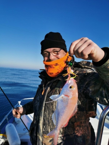 Pêche du Pagre - Fabien Fernandez Fishing