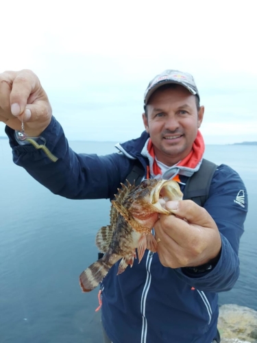 Pêche des Poissons de roche - Fabien Fernandez Fishing